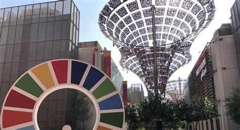 em 2021 odss|FAO divulga lista com 17 ações para promover sustentabilidade .